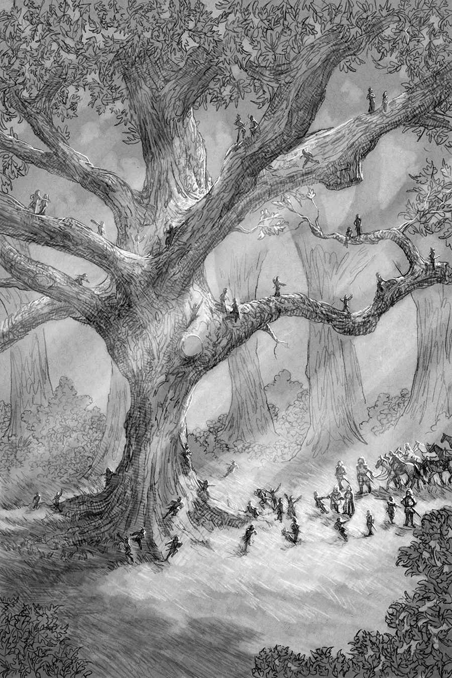 Queen of Sorcery Limited Edition Portfolio — Allen Morris Illustration
